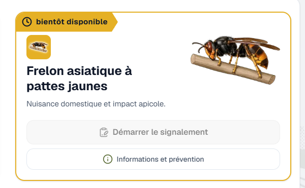Point de situation sur les actions de lutte contre les espèces exotiques envahissantes dans le Var