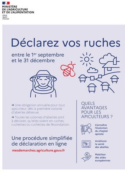 Déclaration de ses ruches